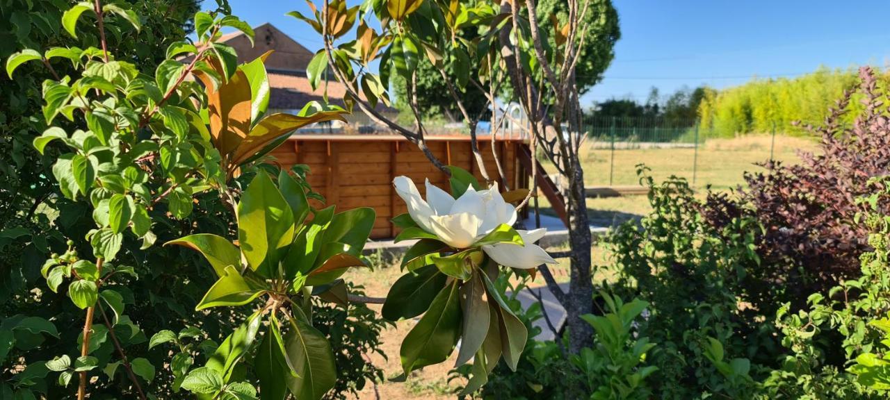 דירות טרטס Mas Gabelys Superbe Vue Sainte Victoire Jardin Terrasse Et Piscine מראה חיצוני תמונה